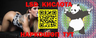 стаф Кингисепп