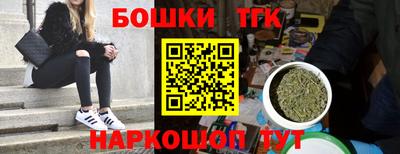 стаф Кингисепп
