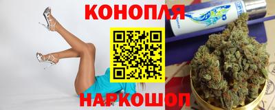 стаф Кингисепп