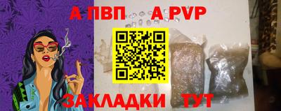 стаф Кингисепп