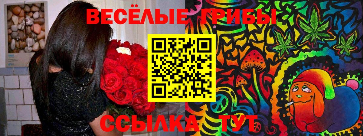 Галлюциногенные грибы MAGIC MUSHROOMS  Вход с VPN  как найти закладки  Псилоцибиновые грибы Cubensis  Крымск 